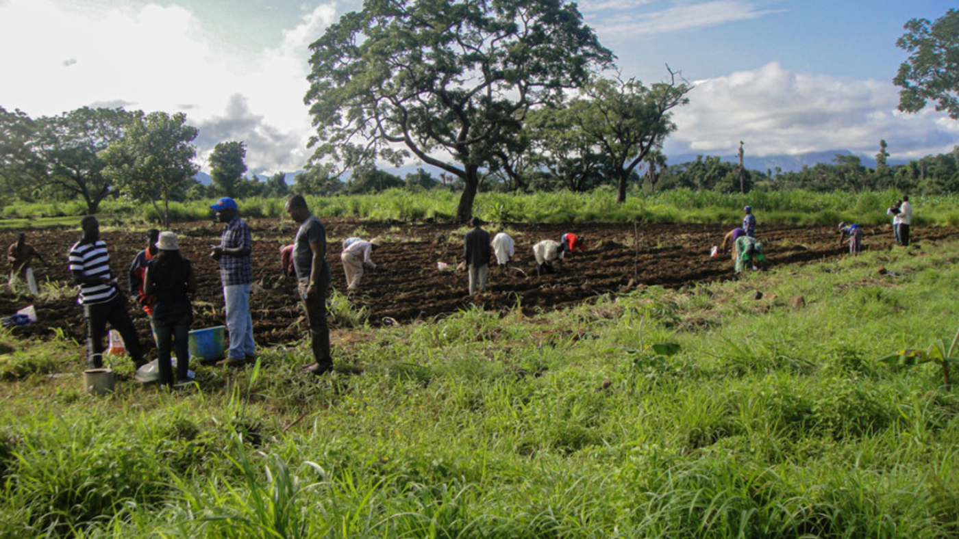 HortiNigeria