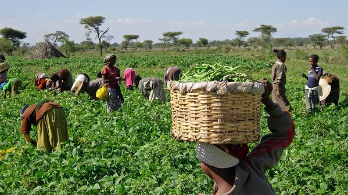 agricultural-sector